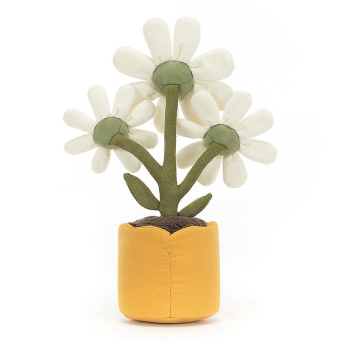 View of the back of the potted daisy in a yellow pot with bright green stems and white flower petals. 