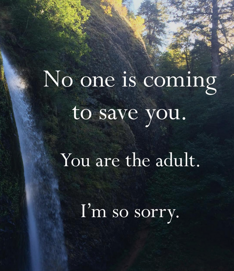 Internal page with picture of a serene waterfall that readfs "no one is coming to save you. You are the adult. I'm so sorry."