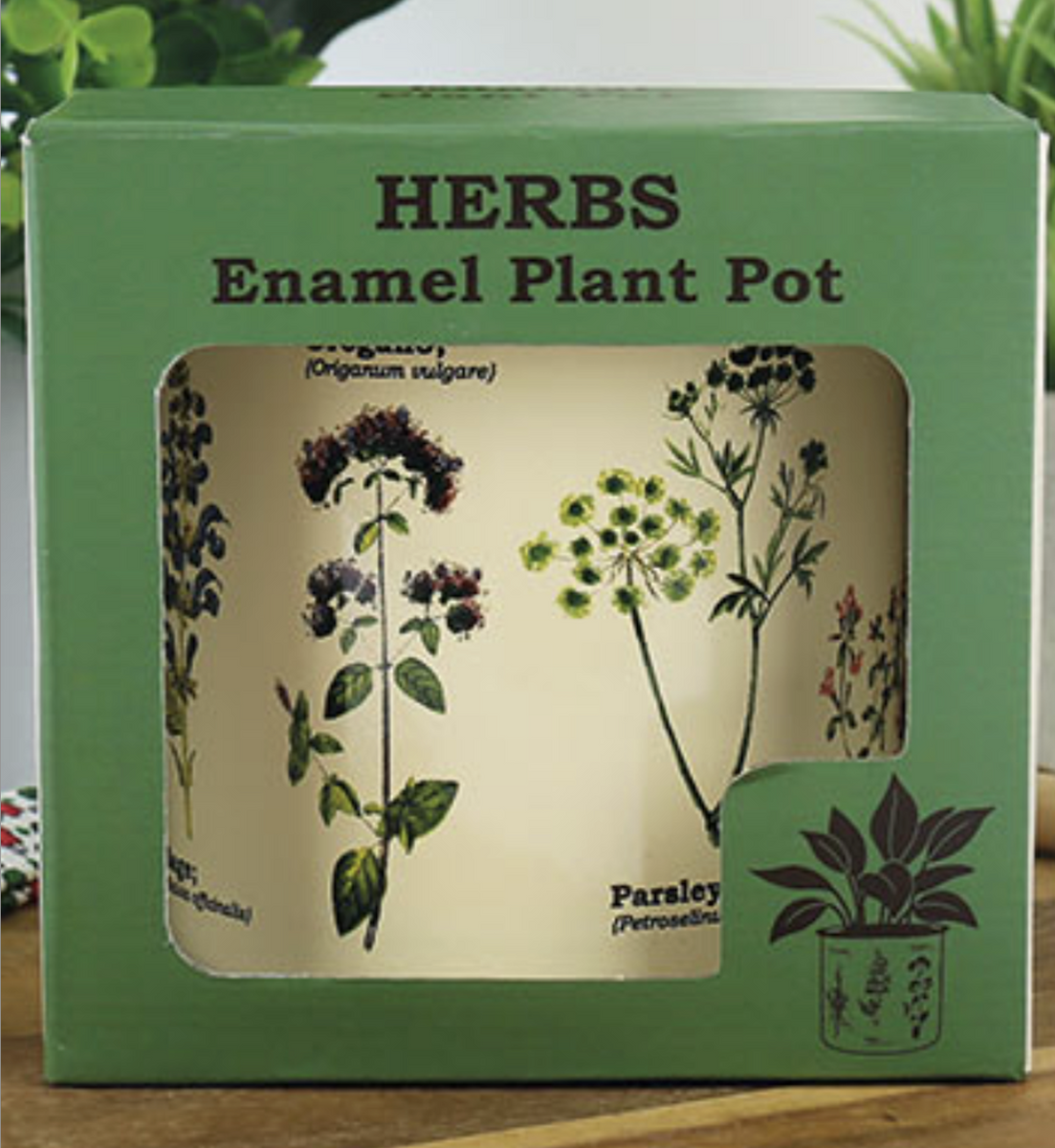 enamel plant pot Herbs Enamel Plant Pot