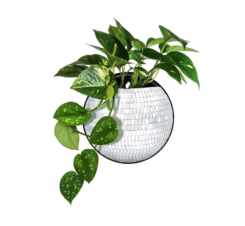 A green plant inside the magnetic disco ball planter.