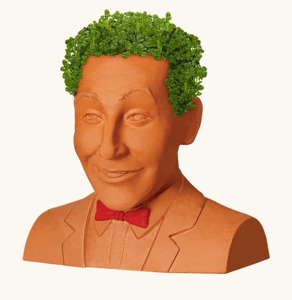 The Pee Wee Herman chia bust with full green growth on his head. 
