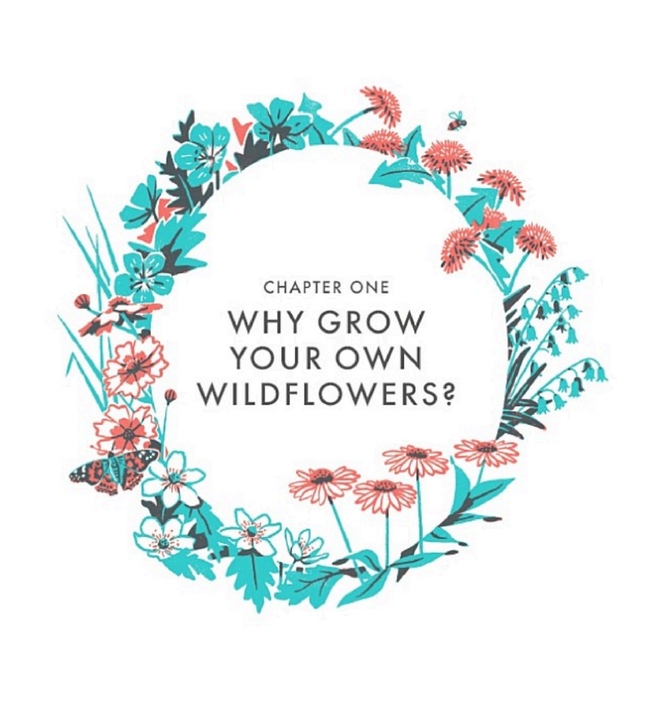 Chapter 1 title page with wildflower wreath around the title "Why Grow Your Own Wildflowers?"