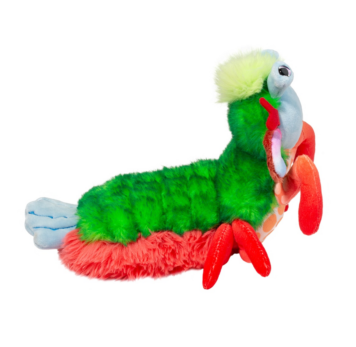 Punchie Peacock Mantis Shrimp – World of Mirth