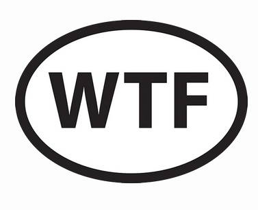 Oval white magnet with black outline and lettering that reads "WTF"