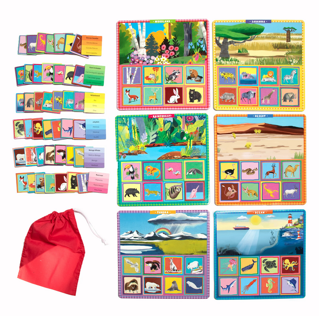 Different bingo cards, bingo tiles, and game bag included in the Where Do I Live Bingo game.