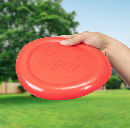 The red bacon scented flying disc held in a hand about to be thrown across a green lawn.