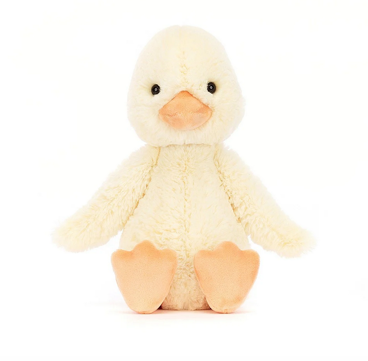 Cutest Bashful Duckling sitting up and facing forward with his wings at his side and orange webbed feet out in front . 