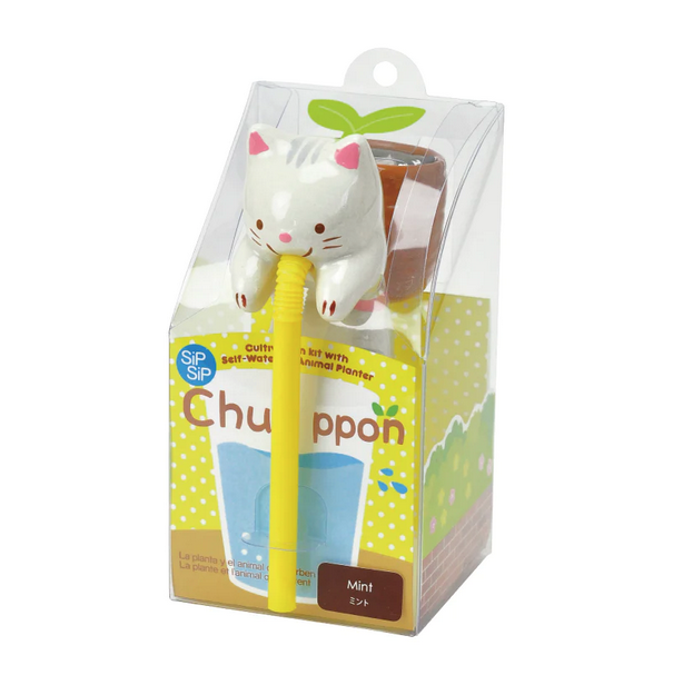 Chuppon are cute characters who like to drink through a straw. Ceramic cat that grows mint. 