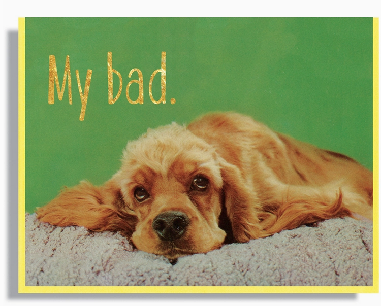 Green background card with a puppy dog laying with it's head down that reads "My Bad"