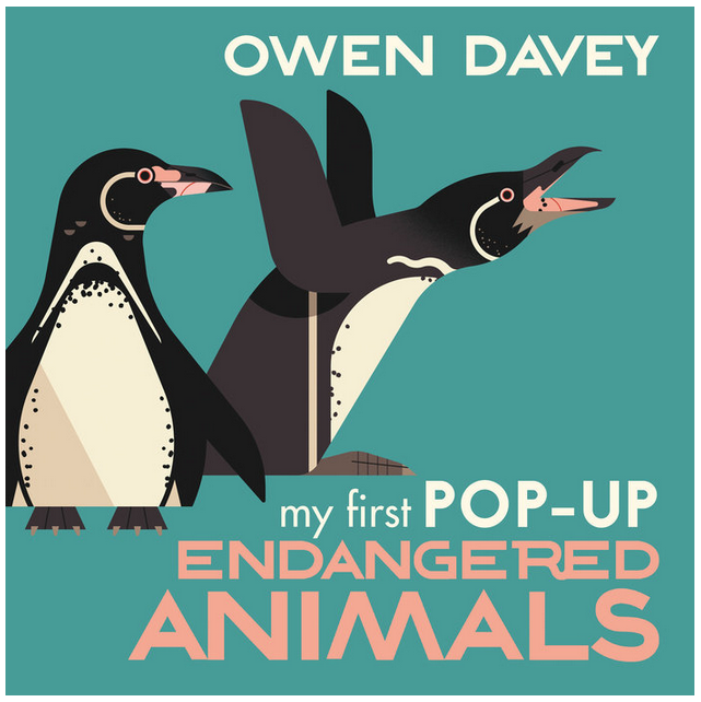 Cover of the book "My First Pop Up Endangered Animals" with an illustration of penguins on a teal background. 