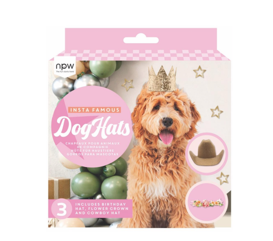 Pawty Hats for dogs box. 