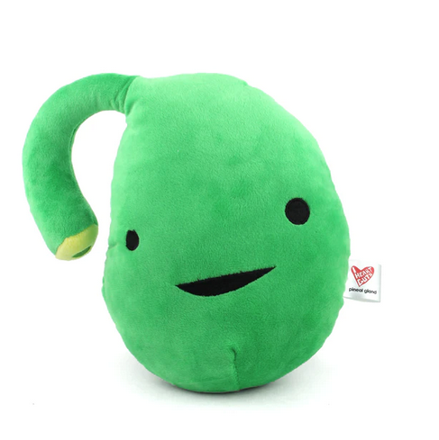 Pineal Gland plush pillow is green and shaped like the gland. 