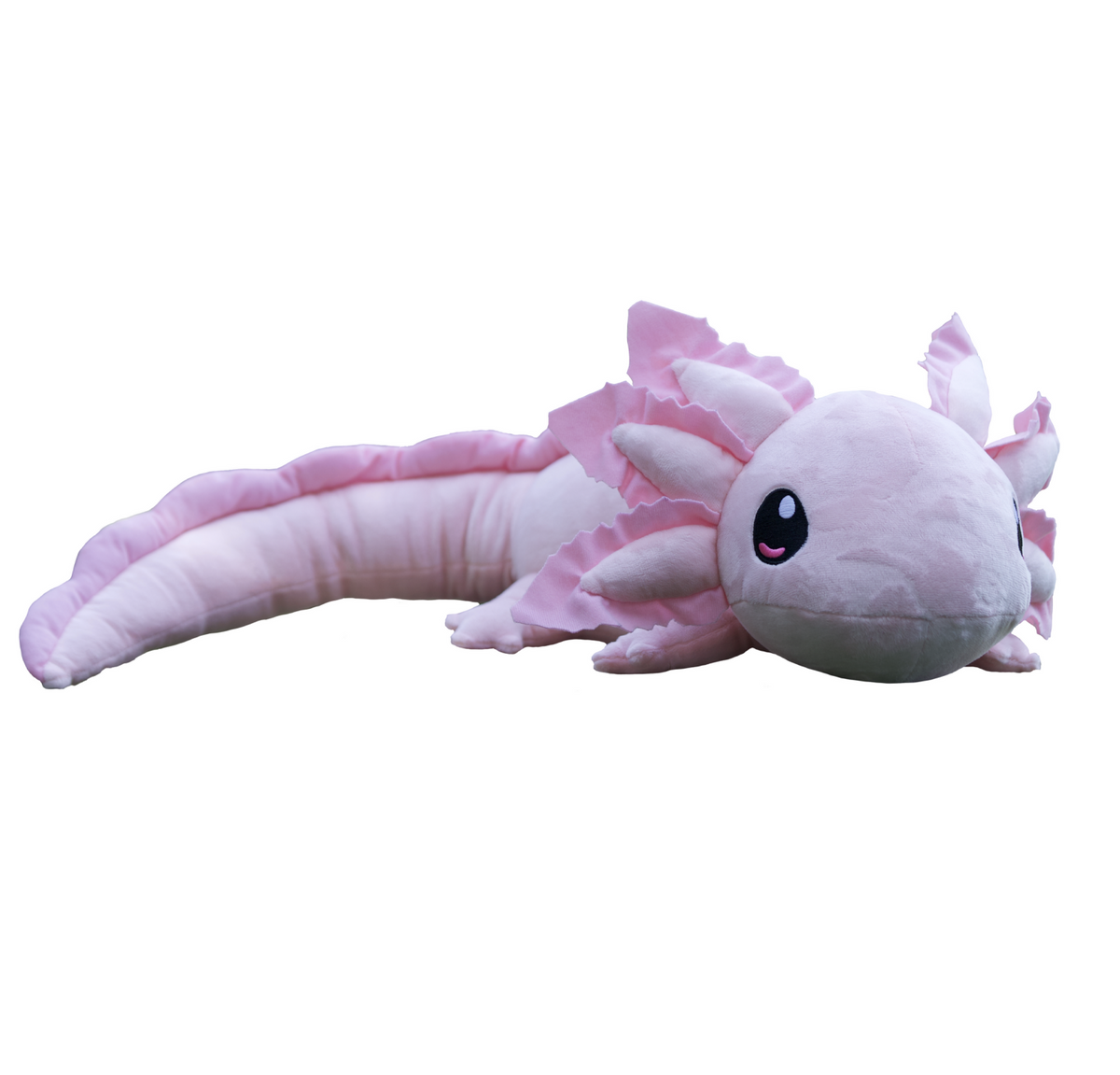 Weighted plush 2025