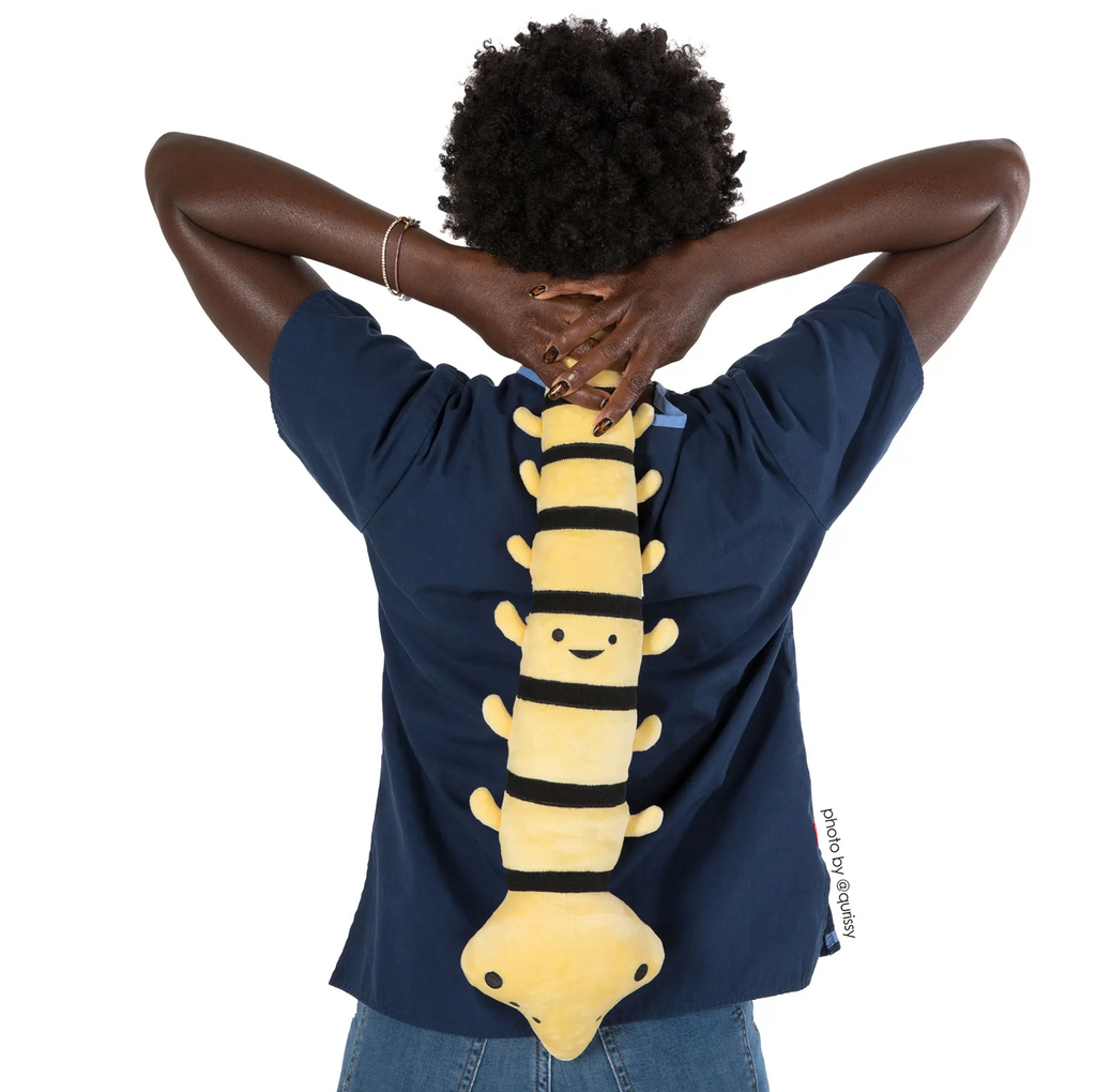 Person holding plush spine over their back.