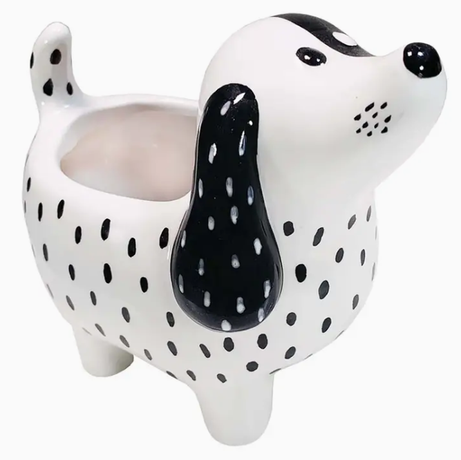 The ceramic Spotty Dog planter. A white dog with black spots and long black ears and a hole for a plant.
