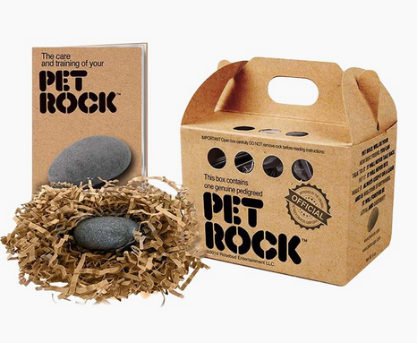 Original Pet Rock with display box and care instructions.