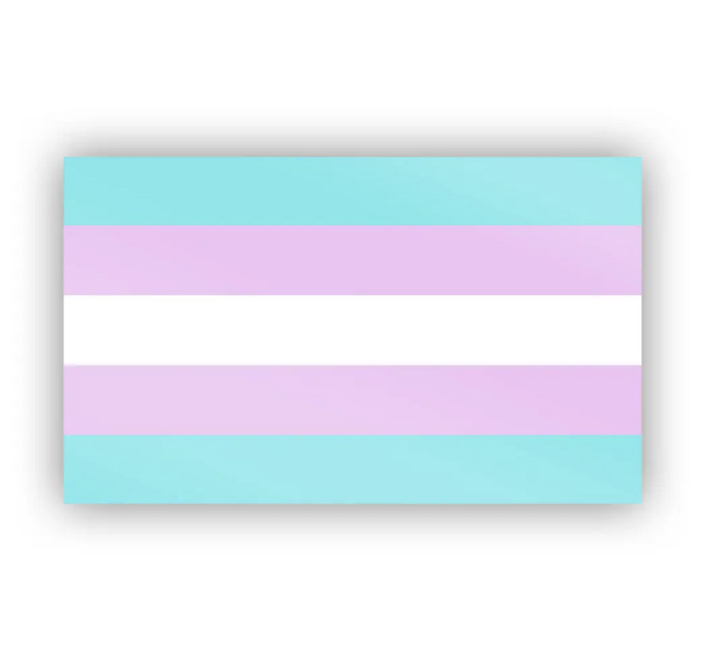 Trans pride flag sticker.