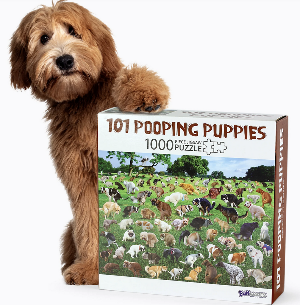 101 Pooping Puppies puzzle box with a picture of the completed puzzle on the cover and a doggy beside the box. 