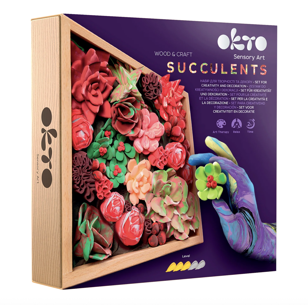 Colorful cover to the box containing the Okto Sensory Art Succulents kit featuring a picture of air dry clay succulents formed and placed in the display box. 