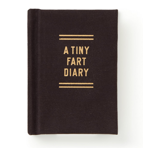 Cover of "A Tiny Fart Diary" Black with gold lettering.