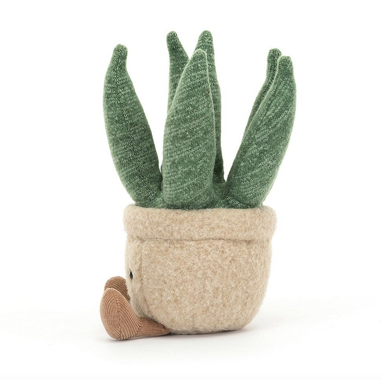 Side view of the plush aloe potted plant. 