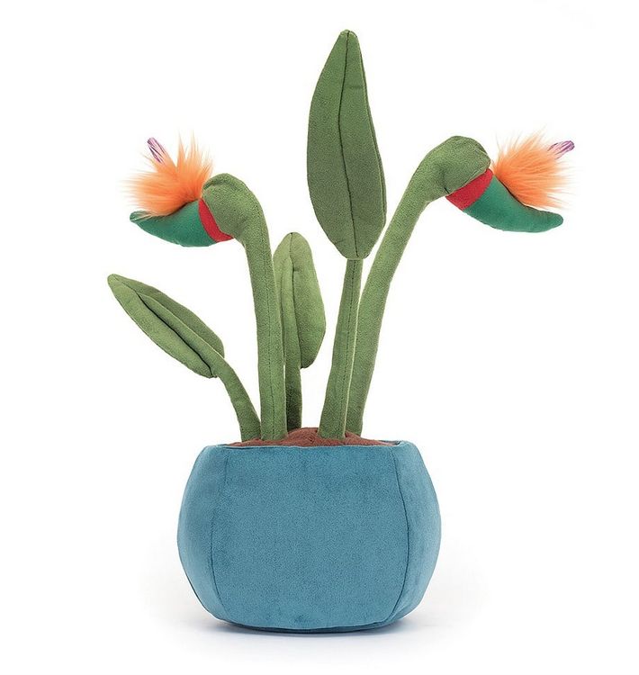 View from the back of the plush Bird of Paradise. Two healthy blooms with orange and blue foilage, and dark green stalks and leaves. In a bright blue planter. 