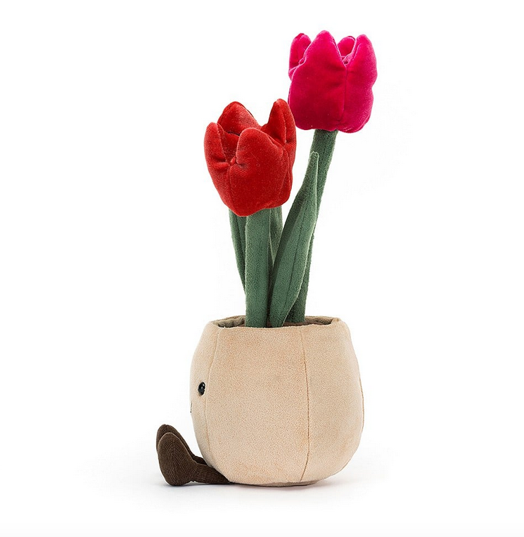 Side view of the Amuseable Tulip Pot showing it's brown boots out in front and both red and pink blooms. 