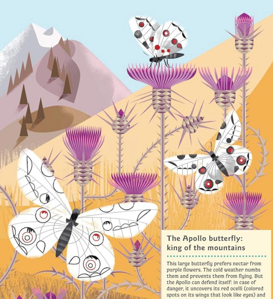 Interior page from Animals of the Mountains My Nature Sticker Book with butterflies on flowers with mountains in the background. 