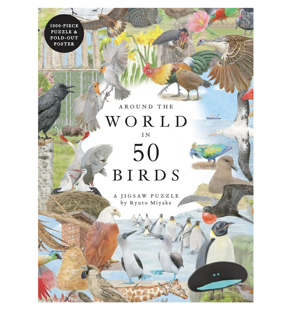Illustrated box cover with various birds from around the world featured in the puzzle. 
