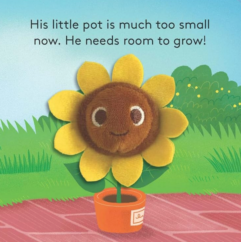 Interior page from Baby Sunflower Finger Puppet Book with the baby sunflower finger puppet outgrowing it's pot. 