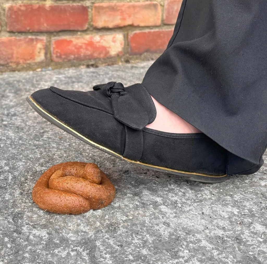 Close up picture of a foot about to step on the pile of fake poop, from the Big Bag of Poop. 