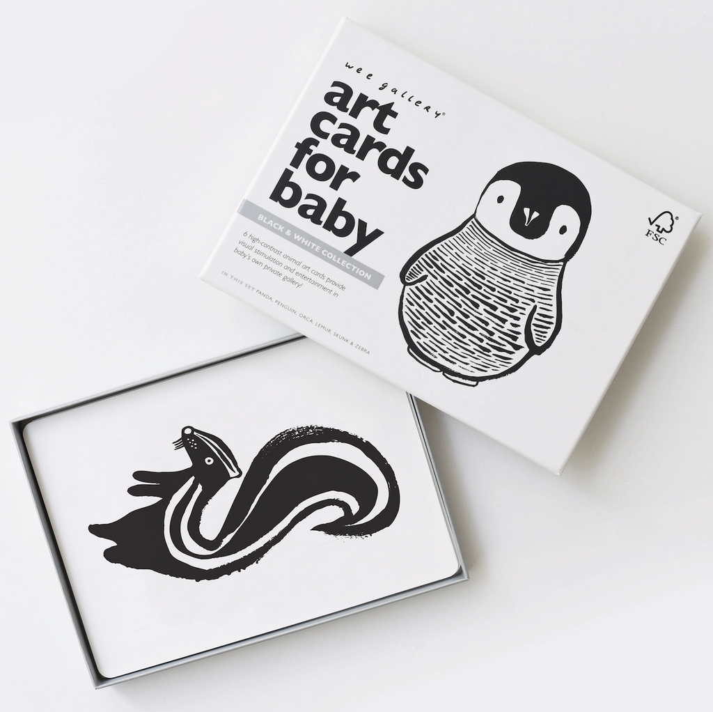 Black and White Animals Art Cards packaged in a box with black lettering on a white background with an illustration of a baby penguin on the cover. The box is opened to reveal a skunk on card at the top of the stack inside the box. 