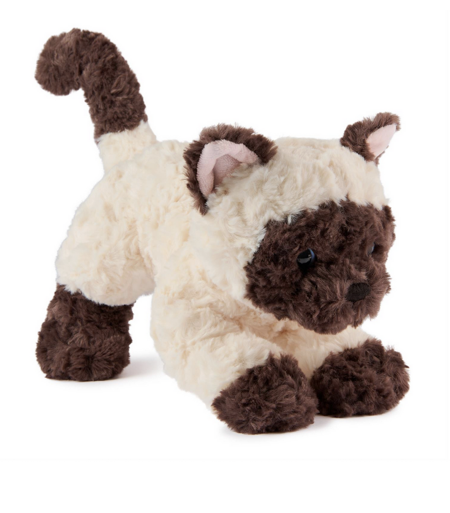Cute, plush Siamese kitten named Bootsie with cream fur and dark brown paws, face, ears and tail tip.  