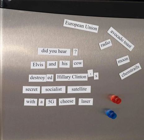 Word magnets from the Build Your Own Conspiracy Theory Kit put together to say "Did you hear? Elvis and his cow destroyed Hillary Clinton's secret socialist satellite with a 5G cheese laser" 