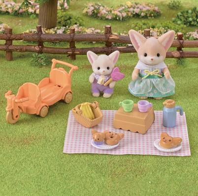  Fennec Fox sister Jasmine and baby boy Caleb with the picnic blanket, food and drinks all set up. 