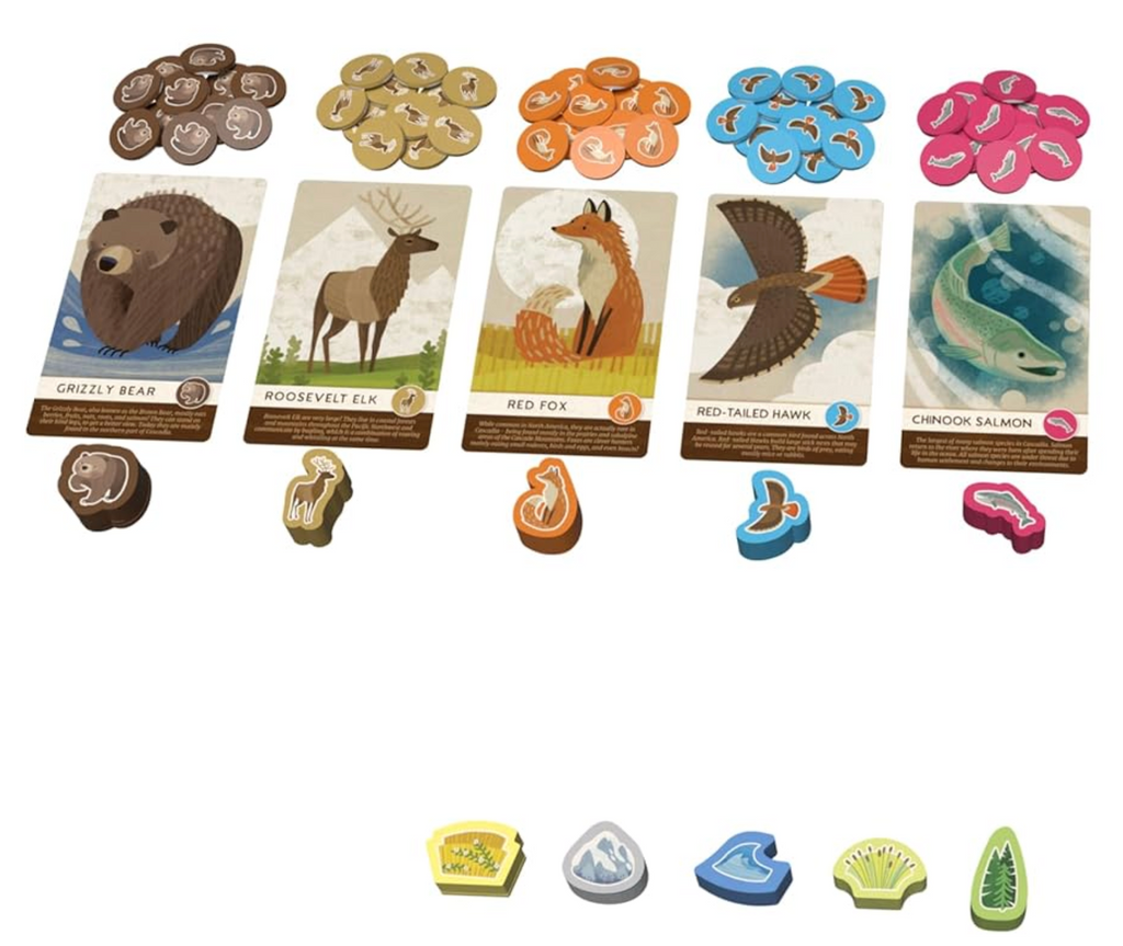 Animal cards, tokens and other game pieces from Cascadia Junior. 