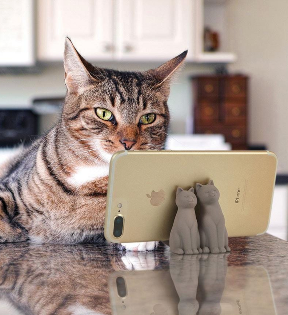 A hilarious picture of a cat sitting at a counter watching a phone that is resting in the Cat Call Pone Stand. 