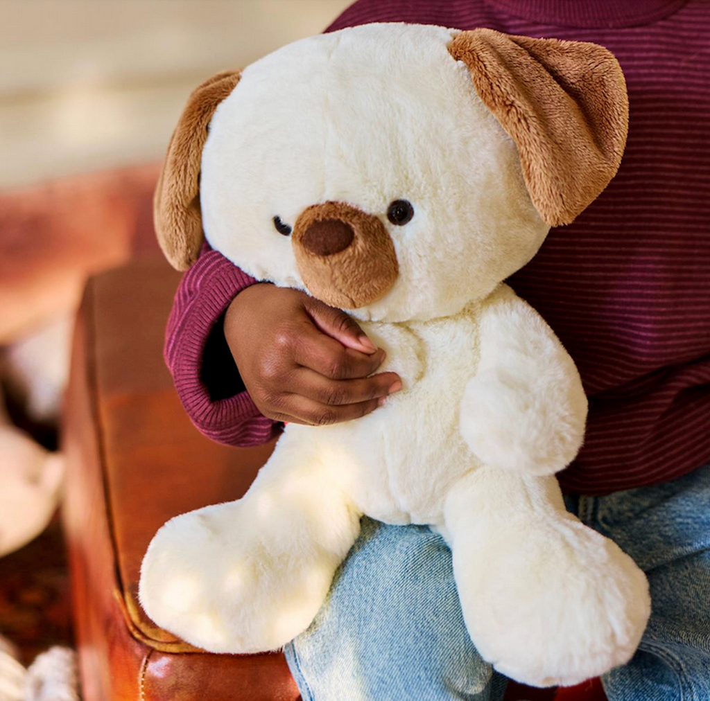 Chip the Puppy plush being held by a kid. 
