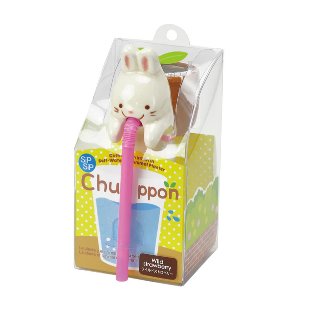 Chuppon are cute characters who like to drink through a straw. Ceramic rabbit that grows wild strawberry. 