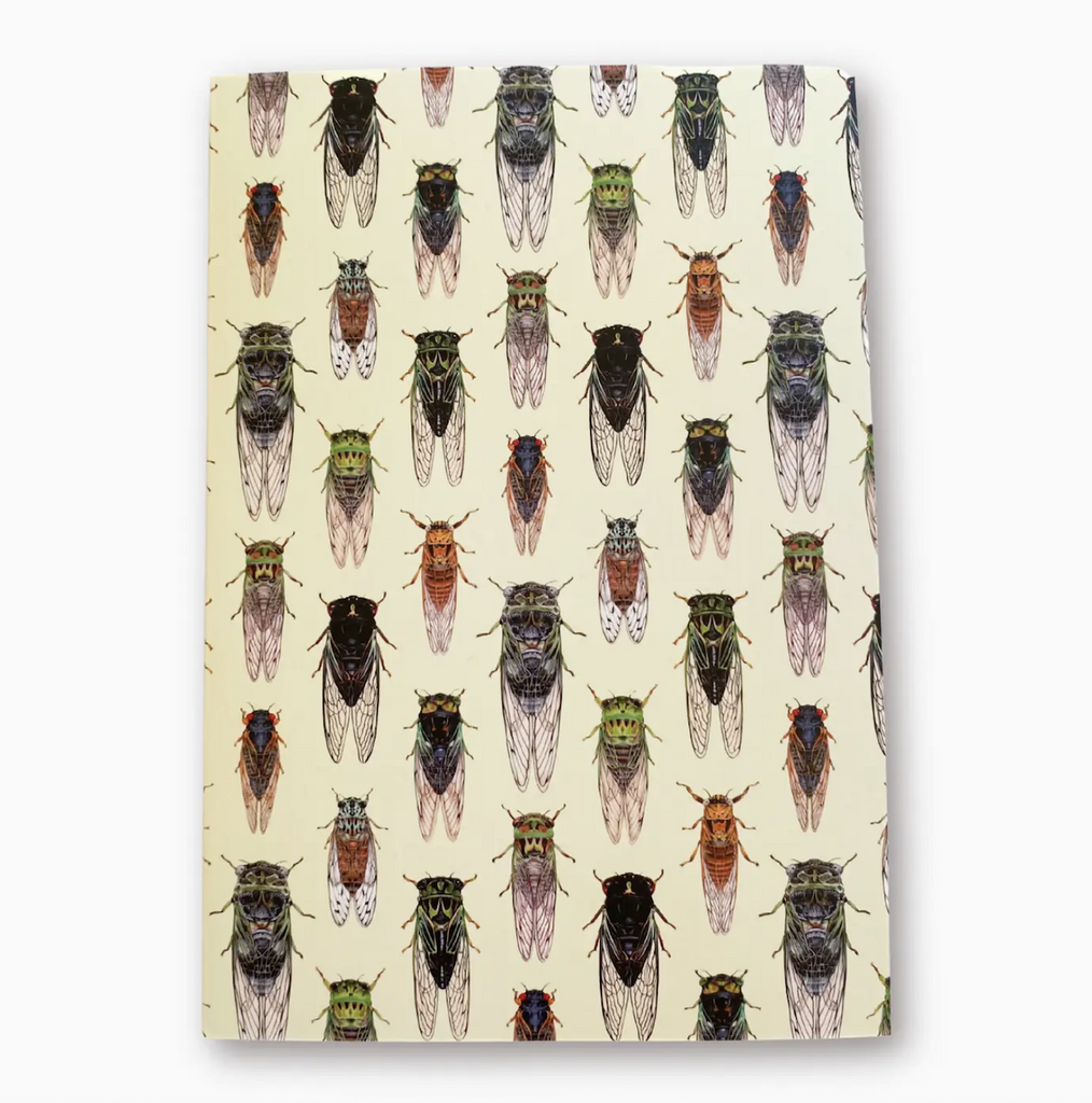 Softcover journal featuring illustrations by Allison Stoiser of cicadas from the Eastern United States 