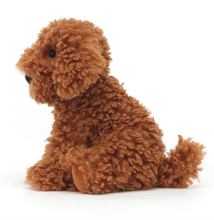 Side view of Cooper the Labradoodle dog. 