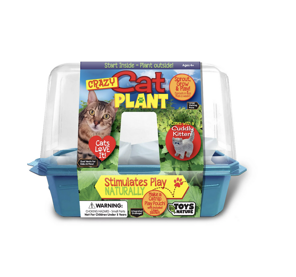 Little plastic greenhouse for indoor starter kit for catnip. 