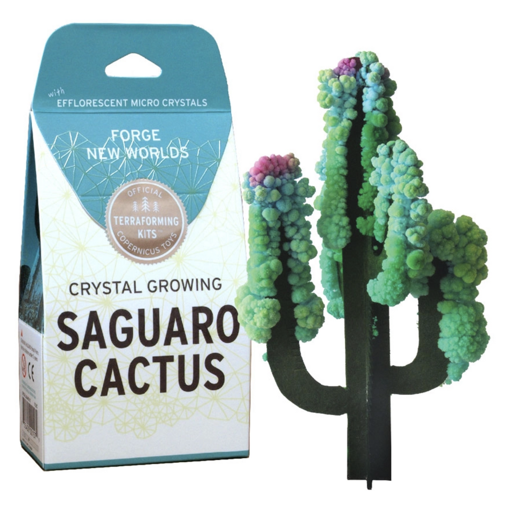 Saguaro Cactus crystal growing kit packaging and crystal cactus. 