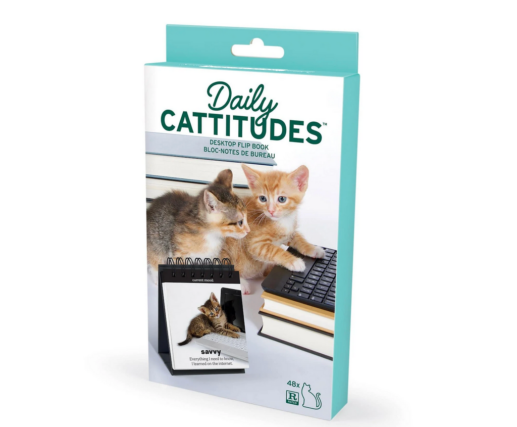 A box with a picture of two kittens posed with a stack of books and laptop computer with the Daily Cattitudes flip chart on the desk beside them. 