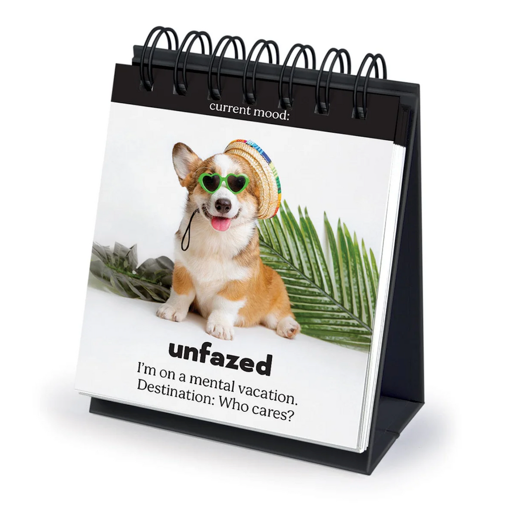 Daily Doggo flip chart turned to a picture of a sweet corgi wearing sunglasses and a straw hat with a caption that reads: "Unfazed I'm on a mental vacation. Destination: Who cares?"