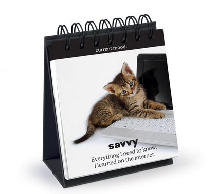 Daily Cattitudes desk top flip chart featuring cute cats and even cuter phrases. This particular page features a picture of a tortie kitten lounging on computer keypad that reads "savvy: Everything I need to know I learned on the nternet" 