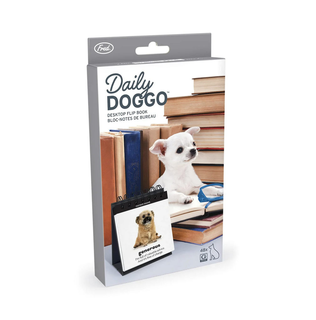 A cute little doggy surrounded by stacks of books pictured on the cover of the box for the Daily Doggo desk top flip chart. 