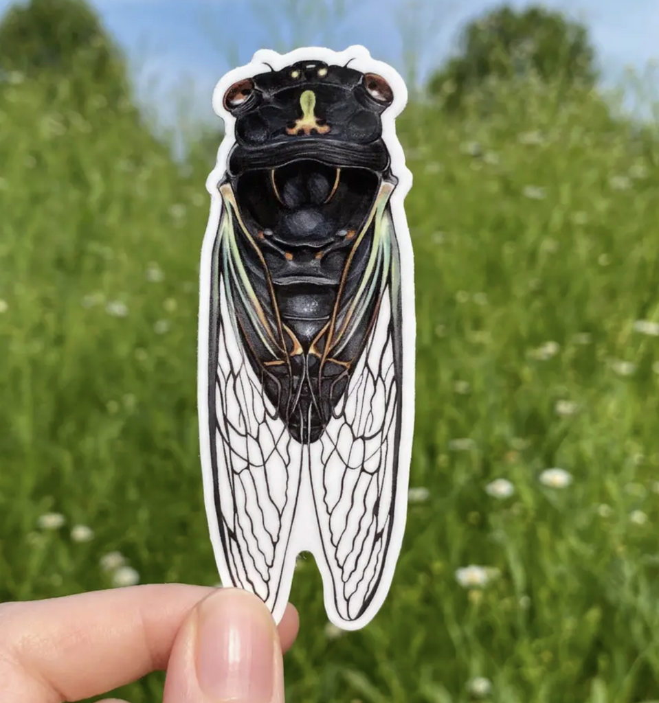 Die cut vinyl sticker of a Dark Lyric Cicada. 