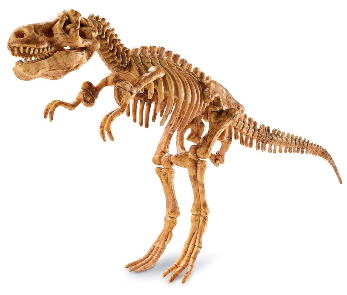 Dig It Up! Tyrannosaurus Rex – World of Mirth