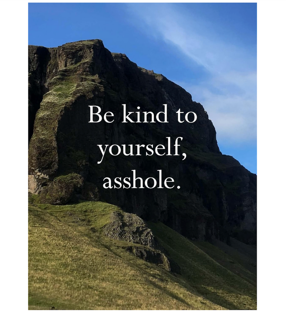 A postcard from the "Disappointing Affirmations Postcards" with a picture of a serene mountainscape with the affirmation " Be kind to yourself, a**hole" 